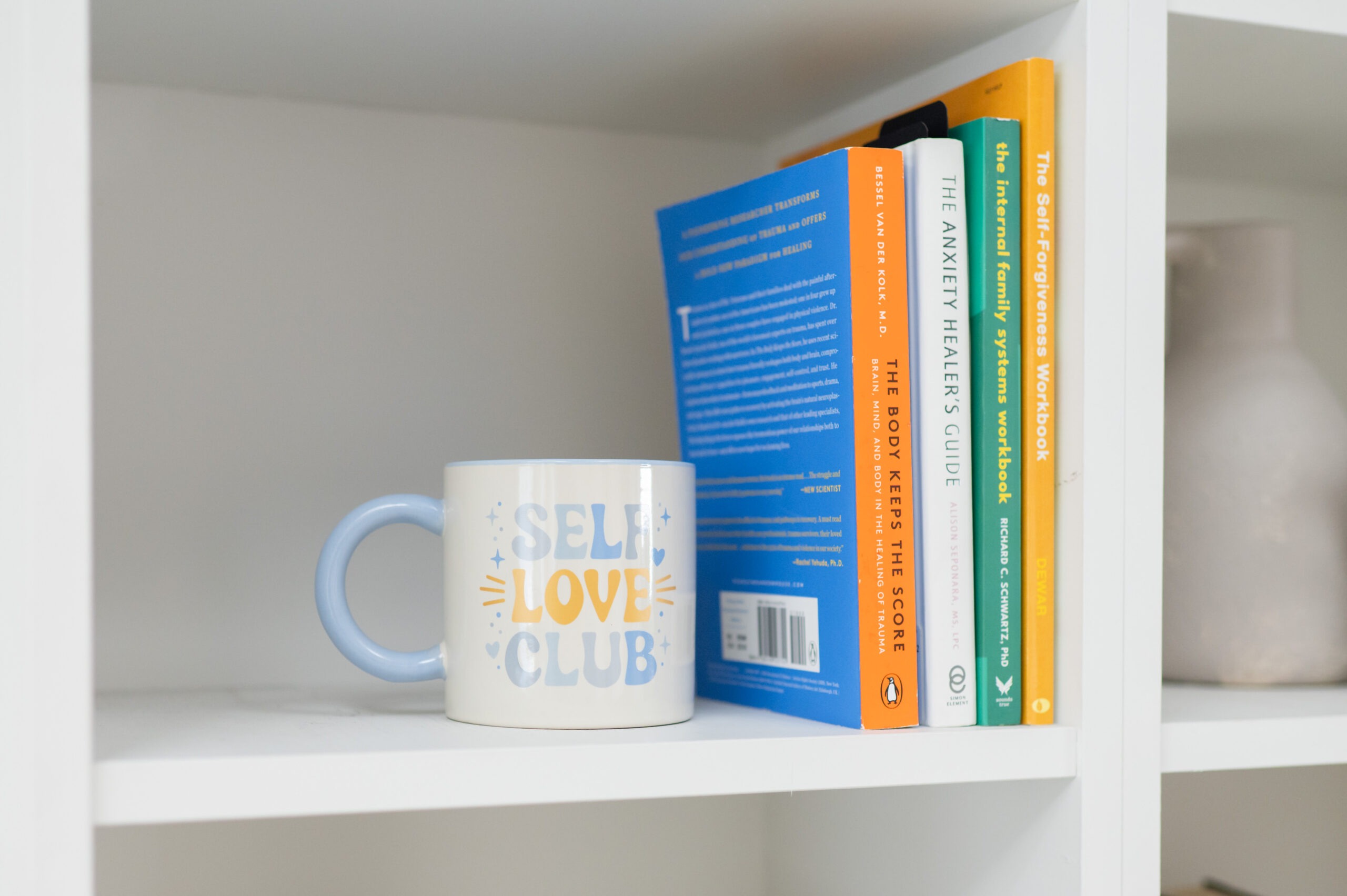 Brain-mind-body-trauma-internal-family-systems-anxiety-therapy-books