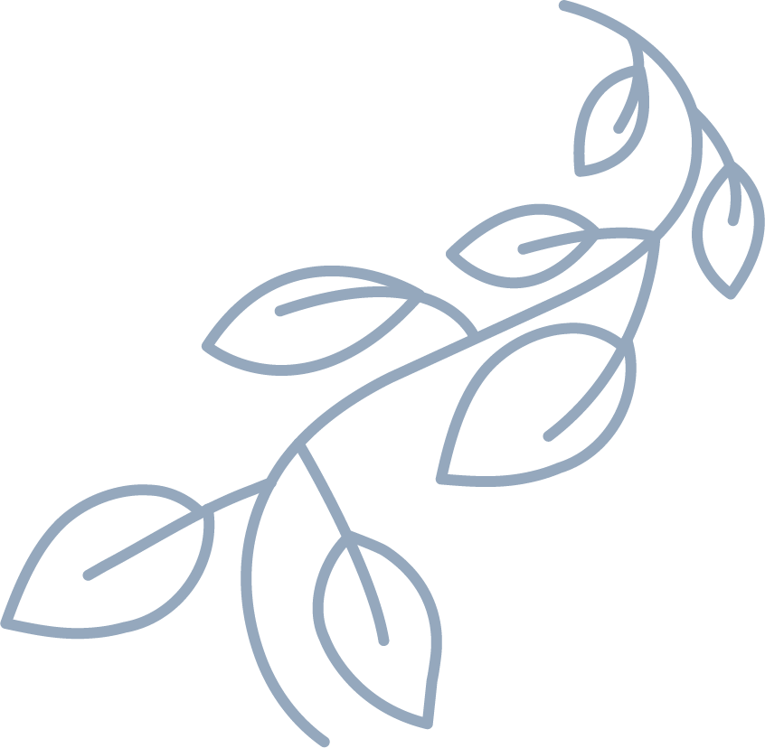 Leaves vector graphic